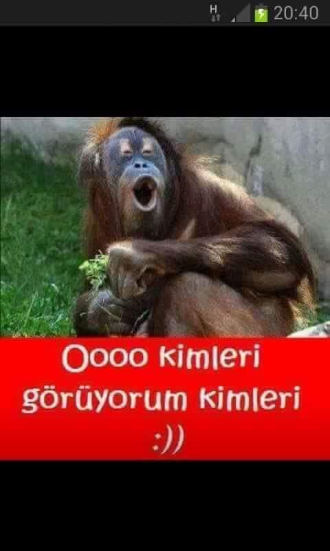 Sağ kulağım çınlıyor kim düşünüyor beni acaba?