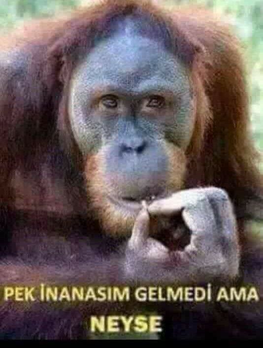 Sağ kulağım çınlıyor kim düşünüyor beni acaba?
