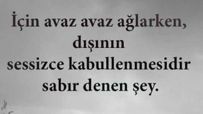 Her insanın hatası varken başkasının hatasını görüp kendini melek sanmasına ne denir?