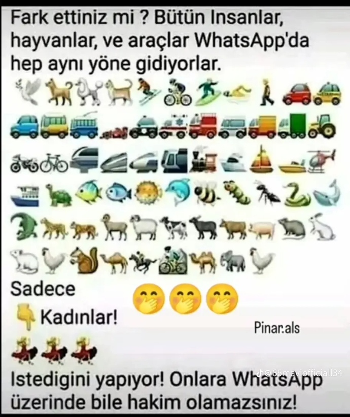WhatsApp emojilerinin hepsi aynı yönde iken kadınin emojisi bile ters yönde kadınlara hâkim oluna bilir mi?