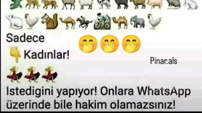 WhatsApp emojilerinin hepsi aynı yönde iken kadınin emojisi bile ters yönde kadınlara hâkim oluna bilir mi?