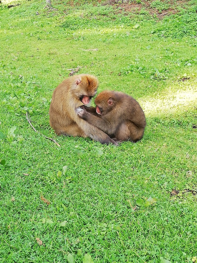 ❤️