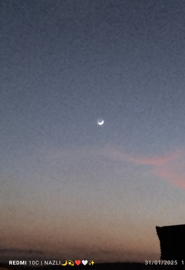 🌙✨