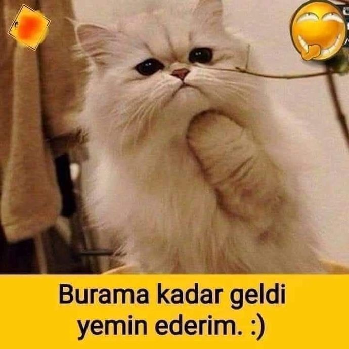 "Neden bunlar benim başıma geliyor"diye sorguluyor musun?