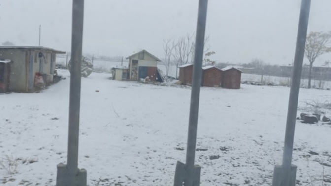Sizin oralarda kar yağışı var mi?