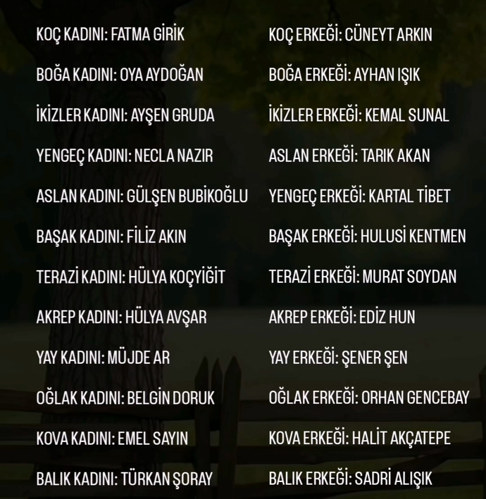 Siz hangi yeşil çam oyuncususunuz?