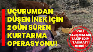 Ben ne yapicammmmmm?