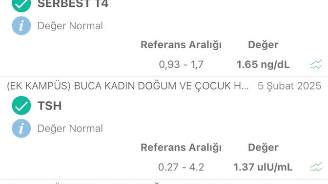 Bilgisi olan lütfen cevaplasın menopoza mı girmişim değerler onu mu gösteriyor?