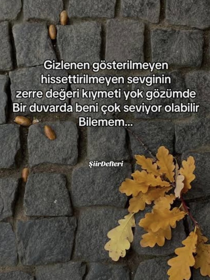 Hissettirilmeyen sevgiye inanır mısınız?