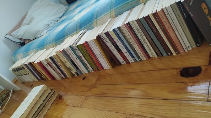Kitap kurdu gerçekmiş biliyor muydunuz?
