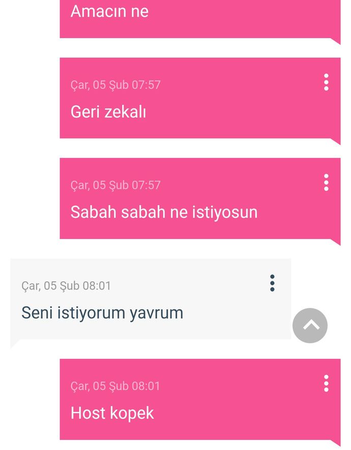 Siz ne yapmaya çalışıyorsunuz amacınız ne?