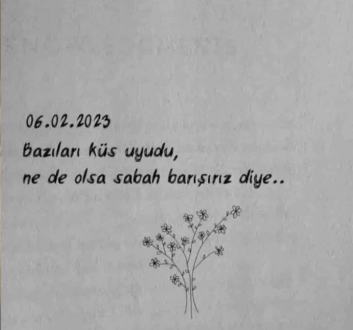 6  Şubat  depremi bize ne öğretti, benzer felaketlere nasıl daha iyi hazırlanabiliriz?