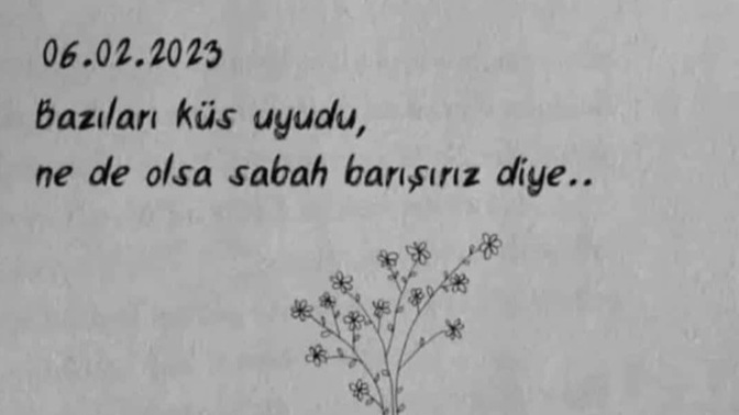 6  Şubat  depremi bize ne öğretti, benzer felaketlere nasıl daha iyi hazırlanabiliriz?