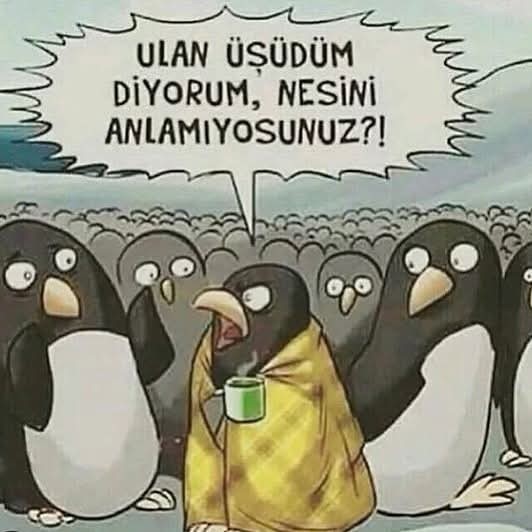 Aranızda Üşüyen var mı?