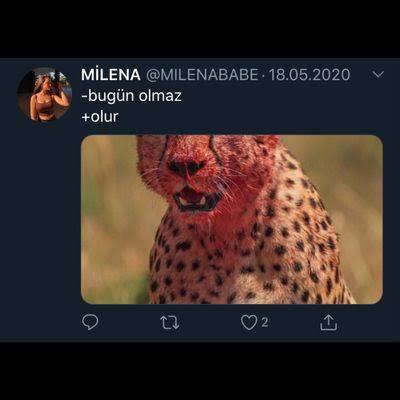 Seksin regl ağrılarına iyi geldiği doğru mu?