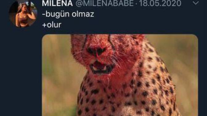 Seksin regl ağrılarına iyi geldiği doğru mu?