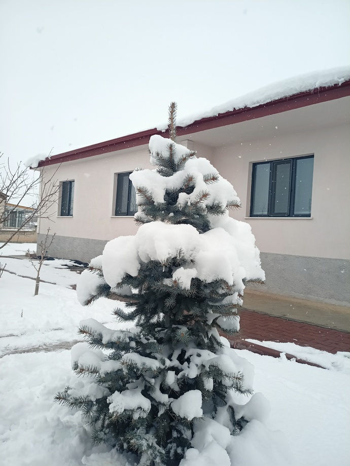 Şu ev sizce nasıl görünüyor ister miydiniz yaz evi olarak?