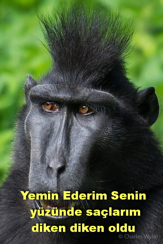 Paçalı don giyen kadından olur mu?