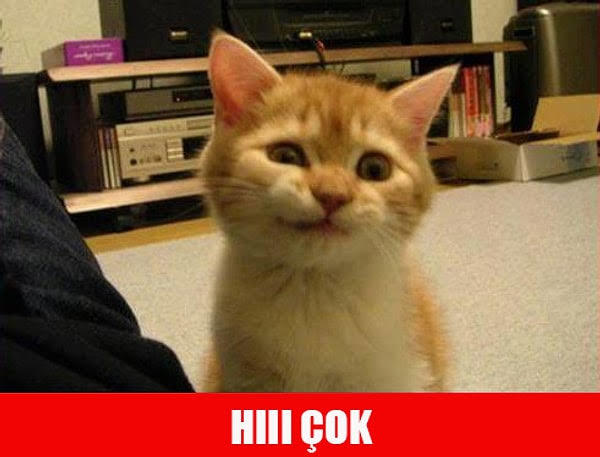 Yakınlarınızın komik olmayan espirilerine güler misinizzzz?🤔🤔?