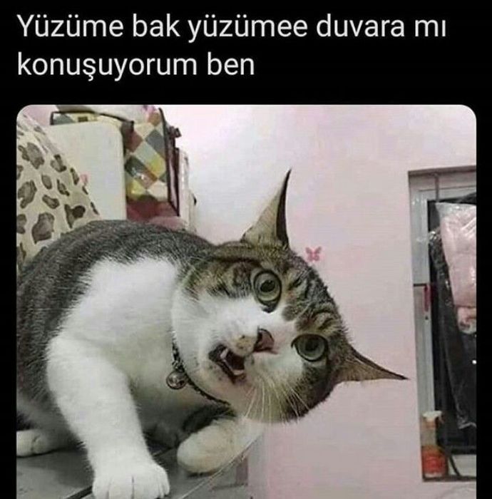 Gönül açlığını mı yoksa karın açlığını mı doyurmak daha zordur?
