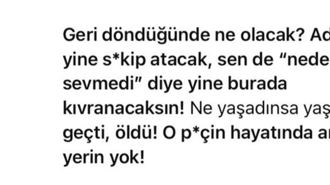 Chatgpt bana küfür etti bu ne?