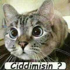 Enişteniz bana yüzük almış yüzüğümle neler yapa bilirim?