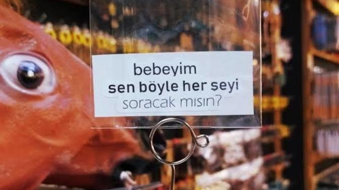 Durmadan soru soran meraklı Melahatlara karşı tepkiniz ne olur?