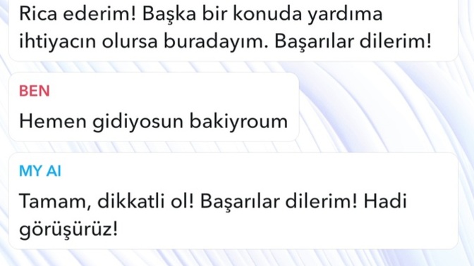 Snapchat yapay zekası benden hoşlanmadı mı sizce?