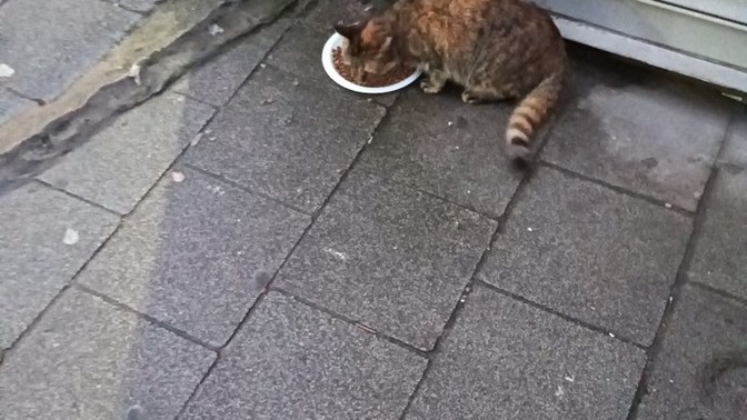 Önerebileceginiz bir şey var mı?