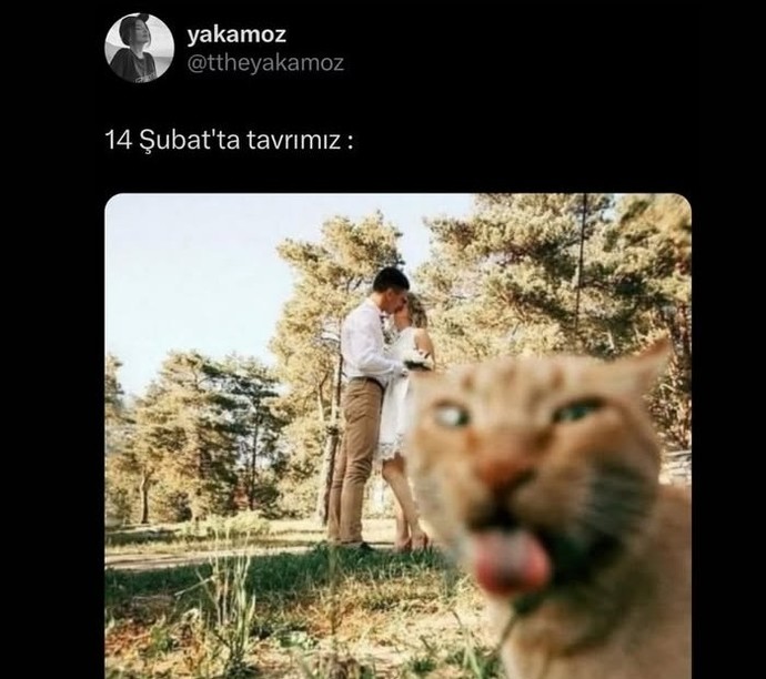 14  Şubat  sevgililer günü mesajınız/planınız hazır mı?