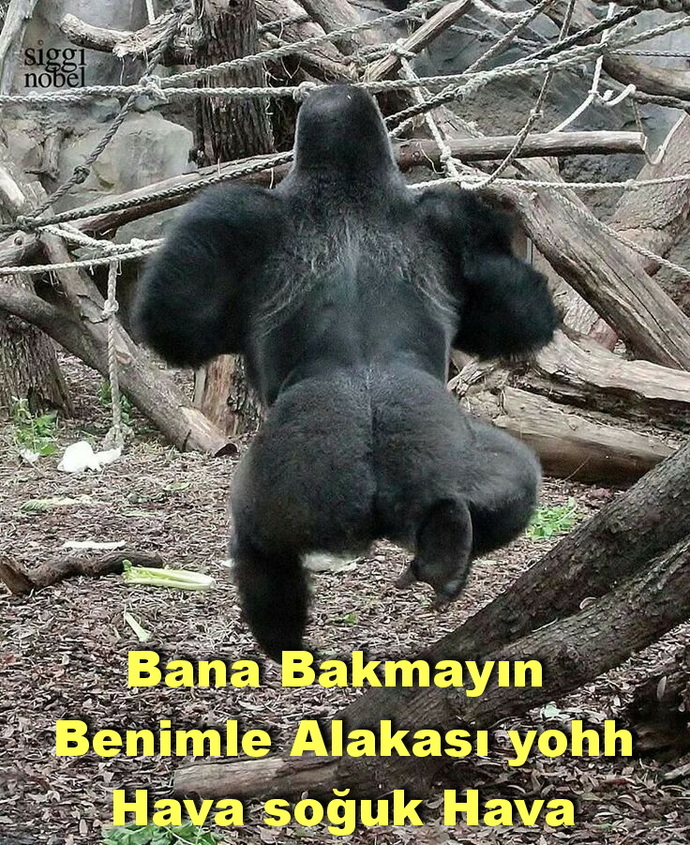 Bugün çok üşüdüm içimi ısıtacak bir şey söyler misiniz?