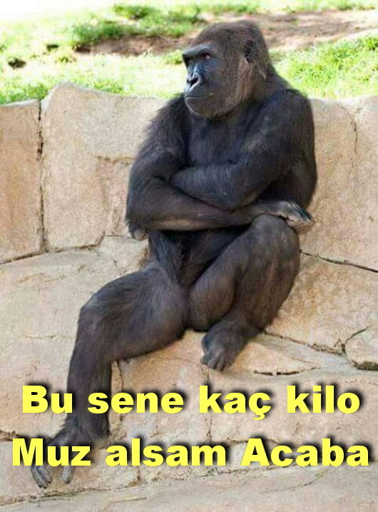 Sevgililer günü hazırlıkları başladı mı sizdede?