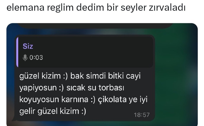 Bir erkeğe reglim dediğimizde bize ne demesi gerekiyor?