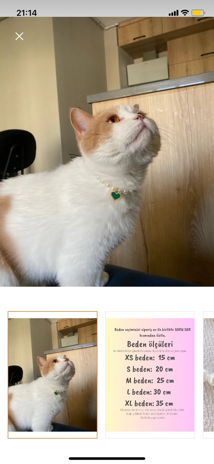 Kedi tasması güzel mi?