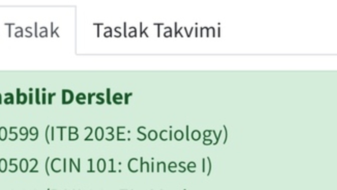 Seçmeli dili çince alsam çok zorlar mı?