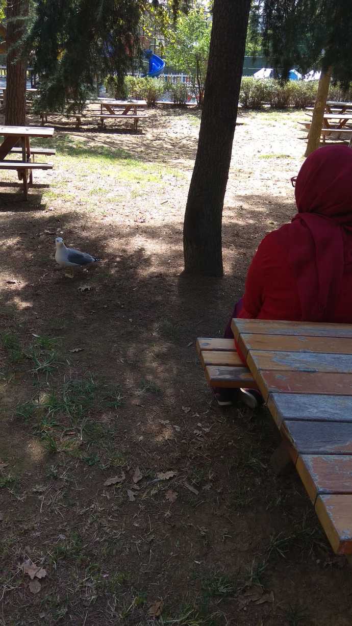 Keşke hiç büyümeseydik dediğiniz oluyor mu?