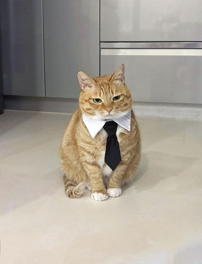İşe gelmek istemiyorum ama siz paramı yine verin