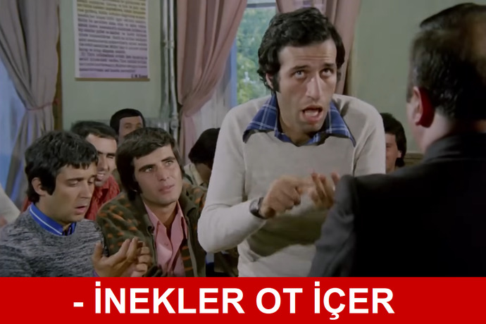 İnekler ne içer?
