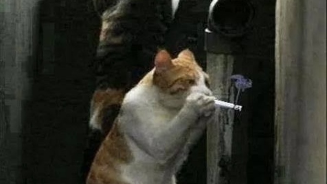 Ziğara içiyonuz mu ziğara?