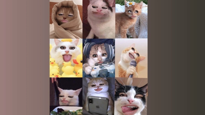 Kediyken bile her halim ayrı güzel 🤪😂