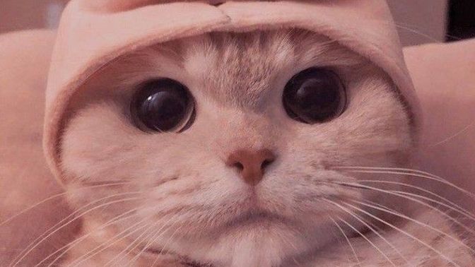 Pazar günleri senin için dinlenme ve keyif zamanı mı yoksa yeni haftanın stresiyle dolu bir gün mü?