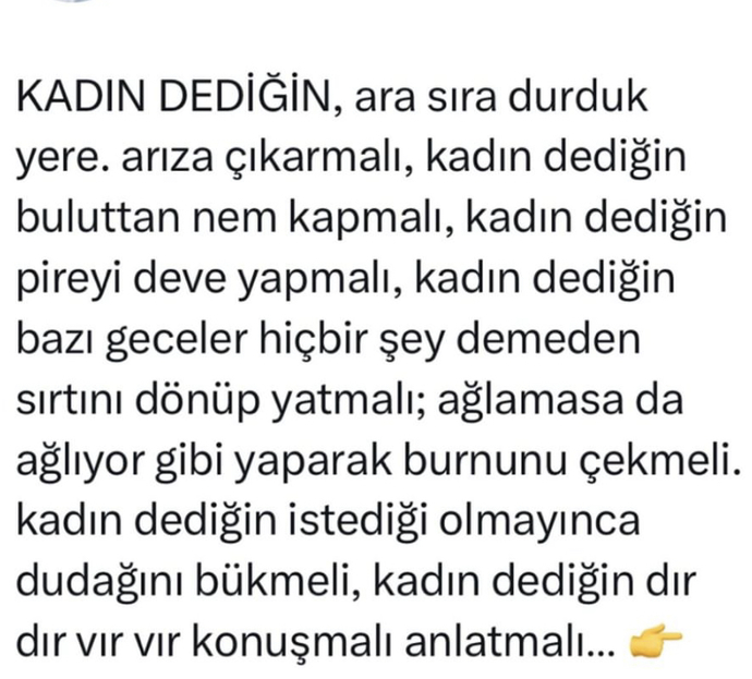 Kadın dediğin nasıl olur sizce?