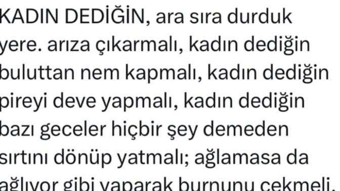 Kadın dediğin nasıl olur sizce?