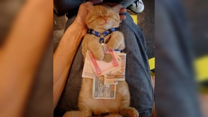 Sizi seven birinin aslında paranız, kariyeriniz için sizi sevdiğini fark etseniz ilişkiye devam eder miydiniz?