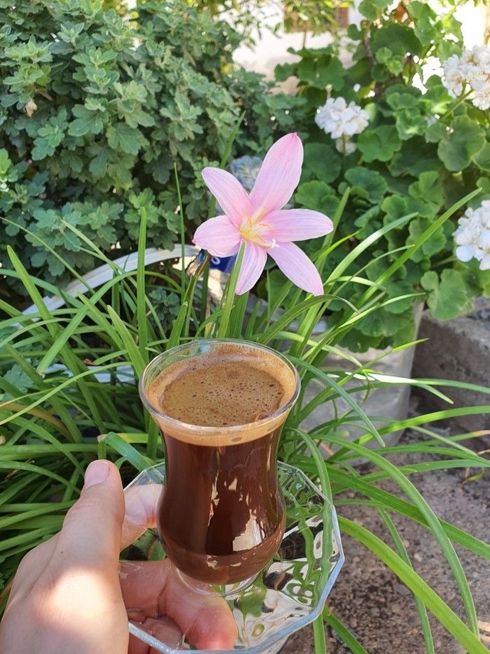 Türk kahvesini fincanda mı yoksa süvari (Çay bardağında mı) içersiniz?