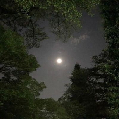 Tekrar yaşamak istediğiniz bir an var mı?