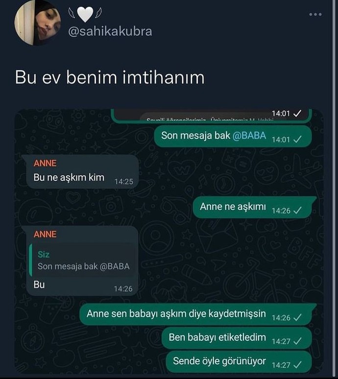 Sevdiklerinizi sinirlendirmek hoşunuza gider mi?