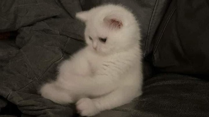 Bıçakla yanlışlıkla parmağıma vurdum kesik yok ama çok ağrıyor, niyee?