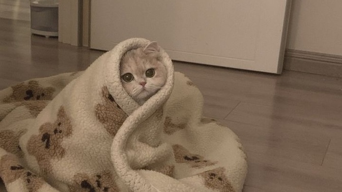 Bir insandan bir kez soğuyunca, tekrar ona ısınmak mümkün mü?