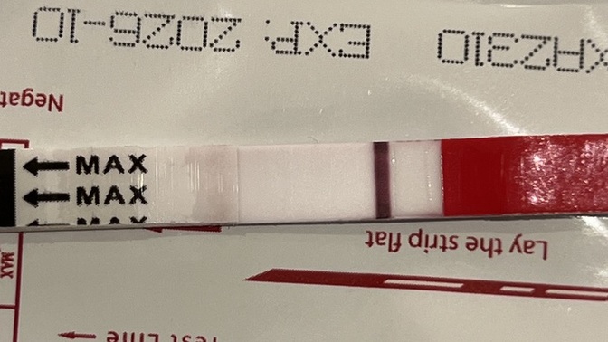 Bugunun testi bu, sizce hamile miyim?